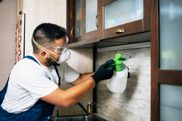 Best Pest Control for Restaurants  in Williams, AZ